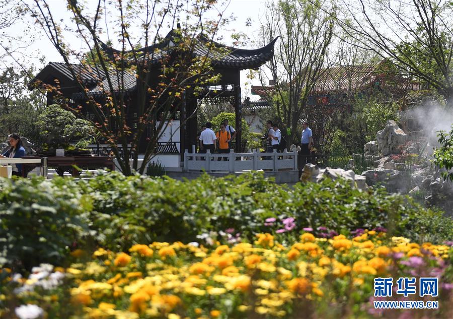 （新華全媒頭條·圖文互動）（2）天人合一、咫尺乾坤：蘇州園林的東方魅力