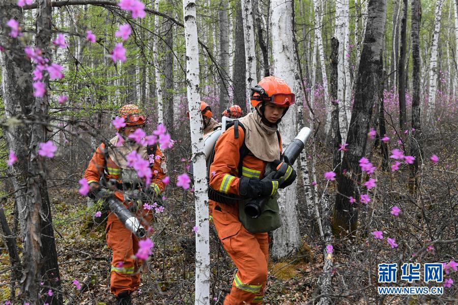 (壯麗70年·奮斗新時(shí)代·圖文互動(dòng))(3)林海孤島唱響冰與火之歌——記內(nèi)蒙古森林消防總隊(duì)大興安嶺支隊(duì)奇乾中隊(duì)