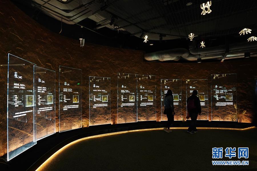 (在習(xí)近平新時(shí)代中國特色社會(huì)主義思想指引下——新時(shí)代新作為新篇章·圖文互動(dòng))(4)從世園會(huì)“看”中國綠色發(fā)展之路——寫在北京世園會(huì)“中國國家館日”到來之際