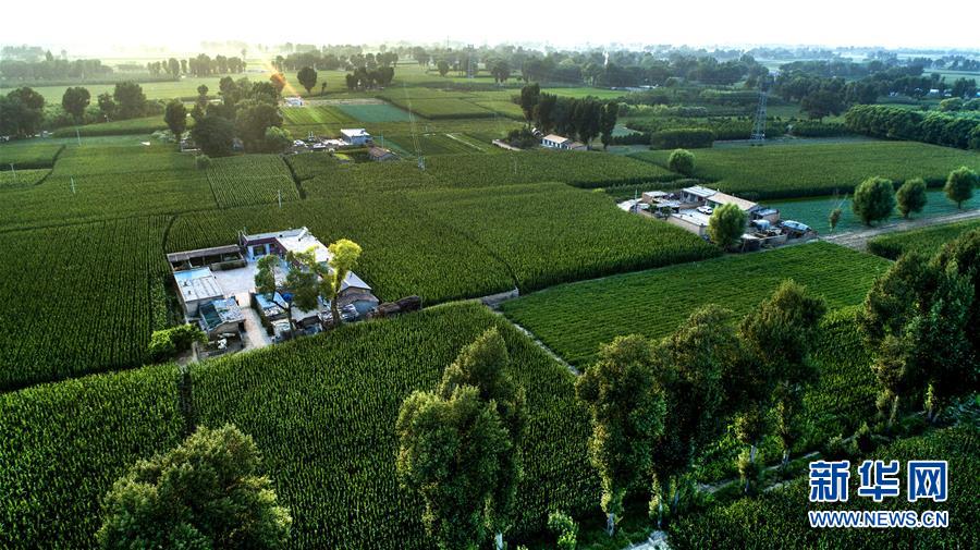 (權威訪談·聚焦中國經濟亮點·圖文互動)(2)防治土地荒漠化 推動綠色發展——專訪國家林業和草原局副局長劉東生