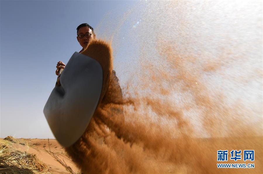 (權威訪談·聚焦中國經濟亮點·圖文互動)(10)防治土地荒漠化 推動綠色發展——專訪國家林業和草原局副局長劉東生