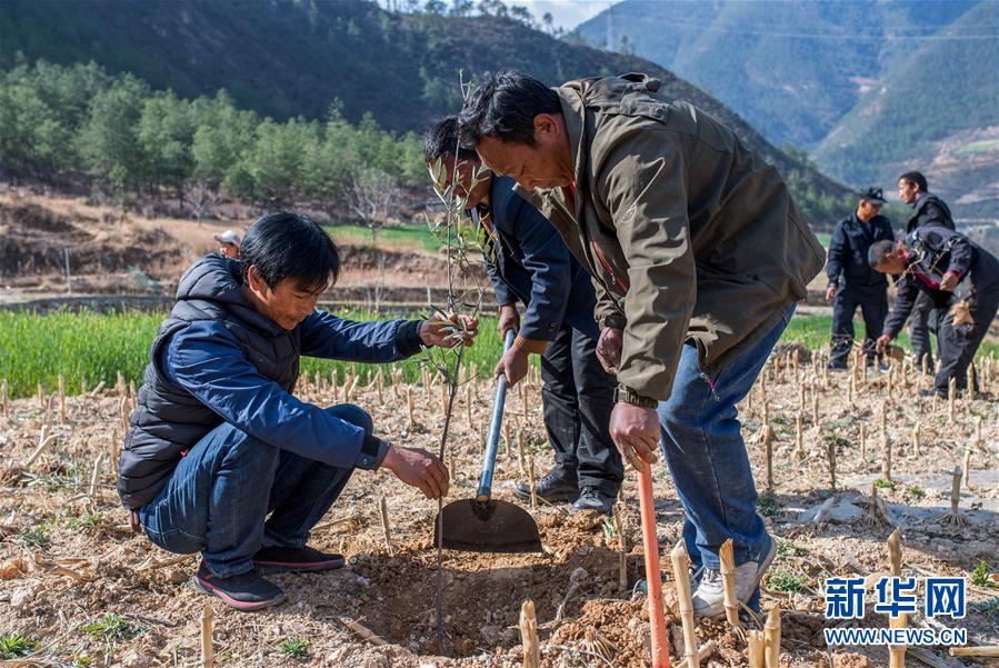 (新華全媒頭條·圖文互動)(4)藏區“感恩連”