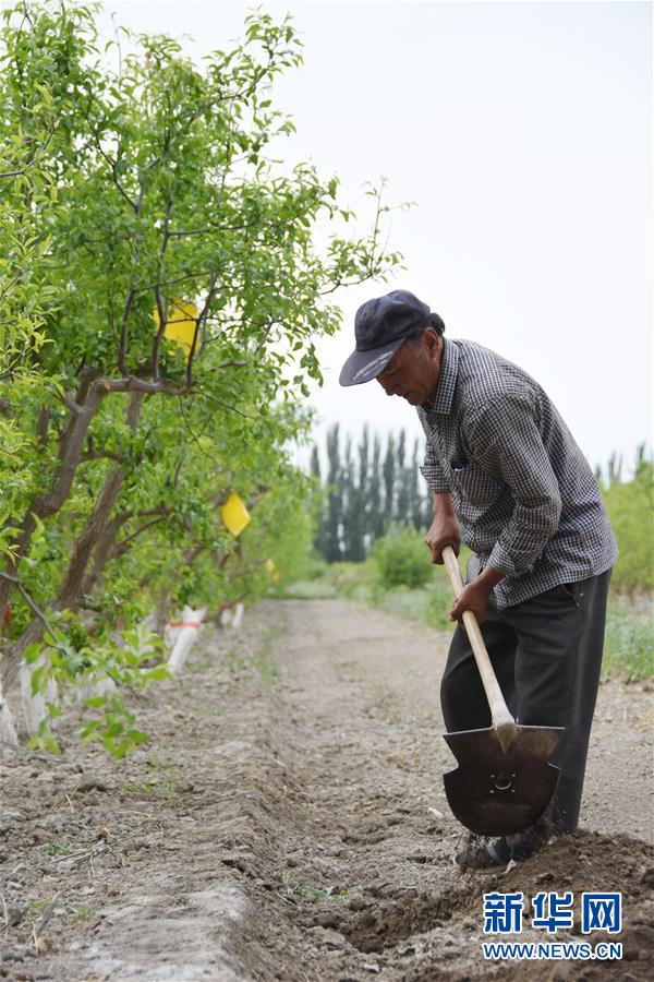 (圖文互動)(1)吐木爾家最后一個(gè)農(nóng)民