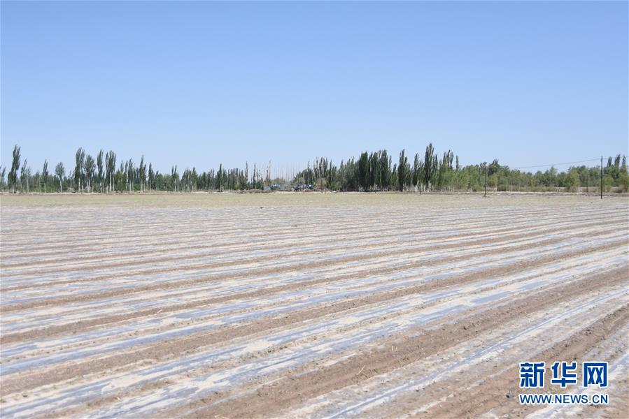 (圖文互動)(3)吐木爾家最后一個(gè)農(nóng)民