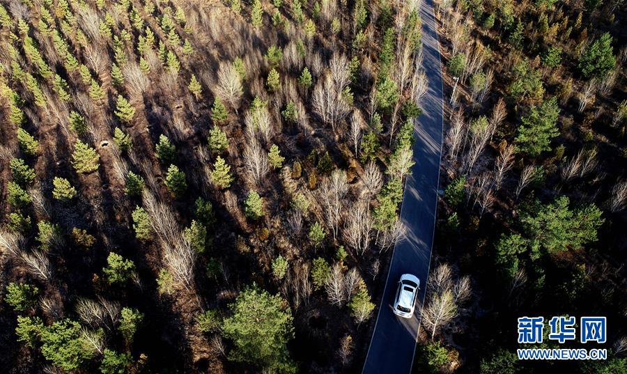 (壯麗70年·奮斗新時(shí)代·圖文互動(dòng))(12)毛烏素治理:眾志縛流沙 塞外展新顏