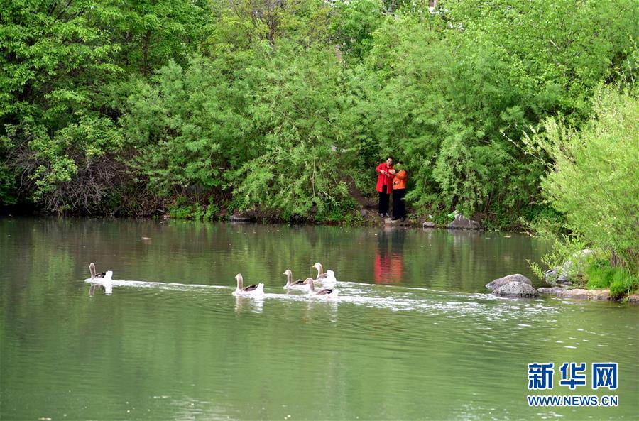 (在習近平新時代中國特色社會主義思想指引下——新時代新作為新篇章·圖文互動)(4)在這里,遇見“詩和遠方”——長白山下“第一鎮”的全域旅游實踐
