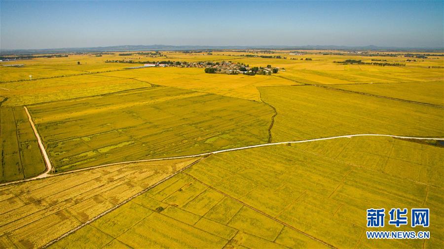(在習(xí)近平新時代中國特色社會主義思想指引下——新時代新作為新篇章·圖文互動)(2)吉林萬昌現(xiàn)代農(nóng)業(yè)發(fā)展先導(dǎo)區(qū)“三變”