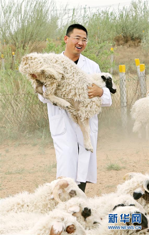 （壯麗70年·奮斗新時代——共和國發展成就巡禮·圖文互動）（3）生態美、百姓富——品讀嶄新“寧夏畫卷”