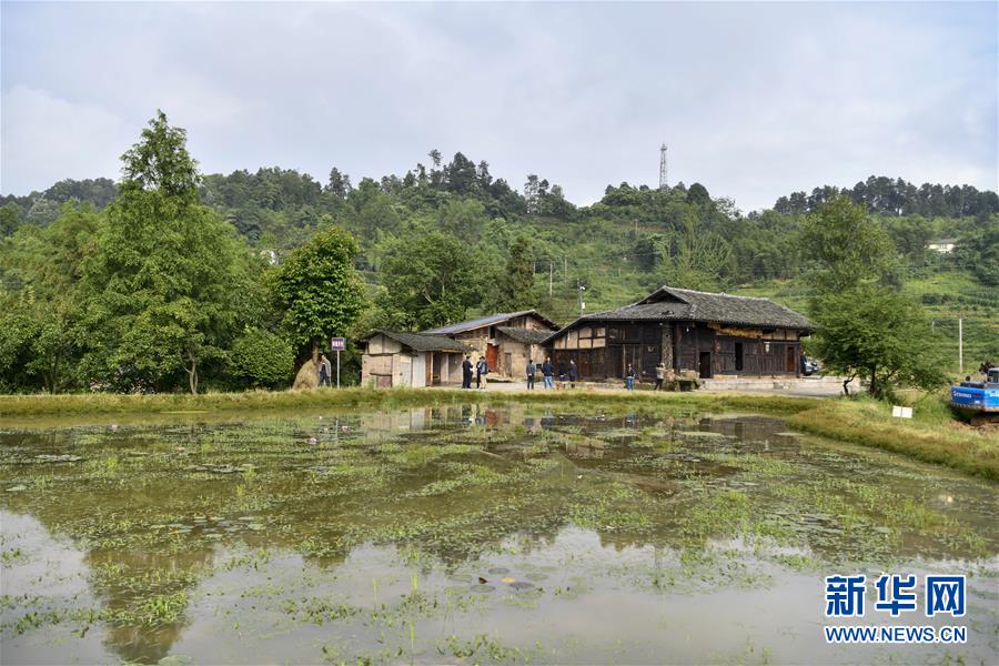 (來自一線的調(diào)查報(bào)告·圖文互動(dòng))(2)利益聯(lián)結(jié)強(qiáng)產(chǎn)業(yè) 打通城鄉(xiāng)促振興——重慶涪陵大順鄉(xiāng)鄉(xiāng)村振興觀察