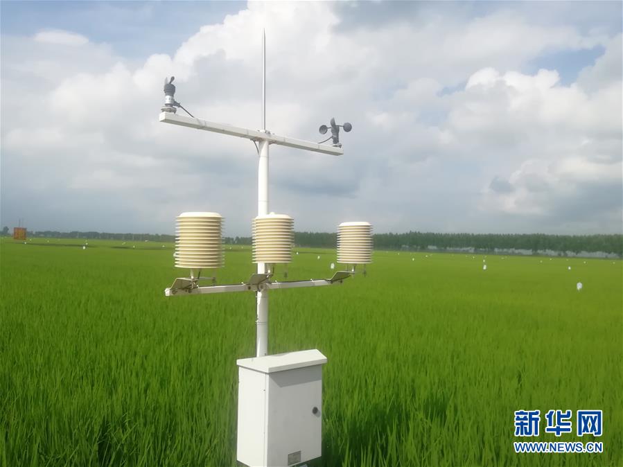 （在習(xí)近平新時(shí)代中國特色社會(huì)主義思想指引下——新時(shí)代新作為新篇章·圖文互動(dòng)）（1）從“靠天吃飯”到“看天管理”——黑龍江創(chuàng)新氣象為農(nóng)服務(wù)體系觀察