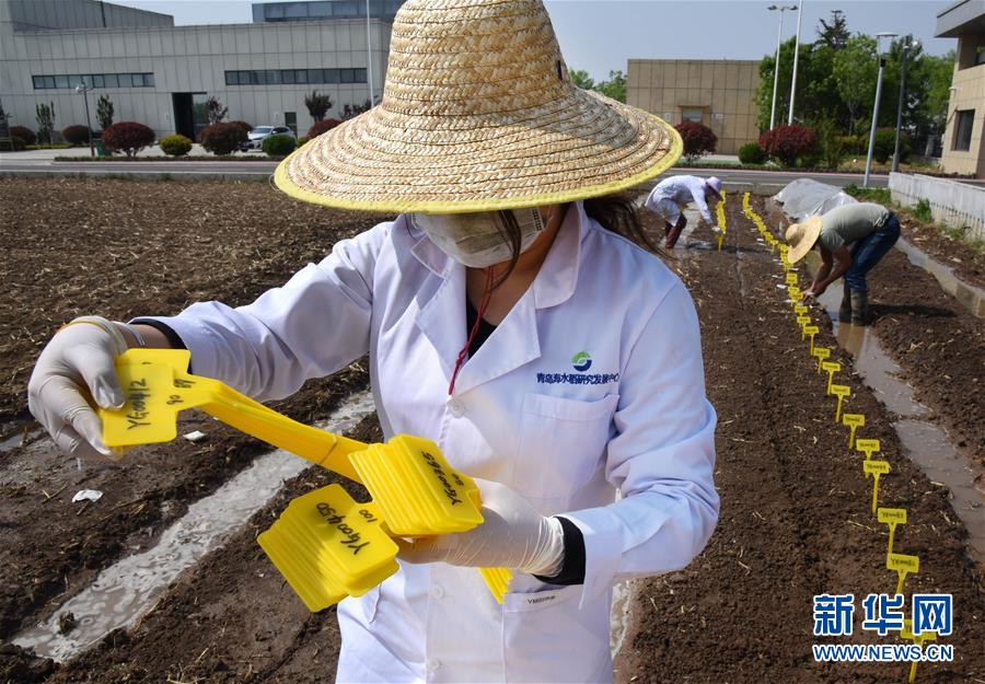 (壯麗70年·奮斗新時代——共和國發展成就巡禮)(10)看今朝齊風魯韻 七十載芳華正勁——新中國成立以來山東領先發展紀實