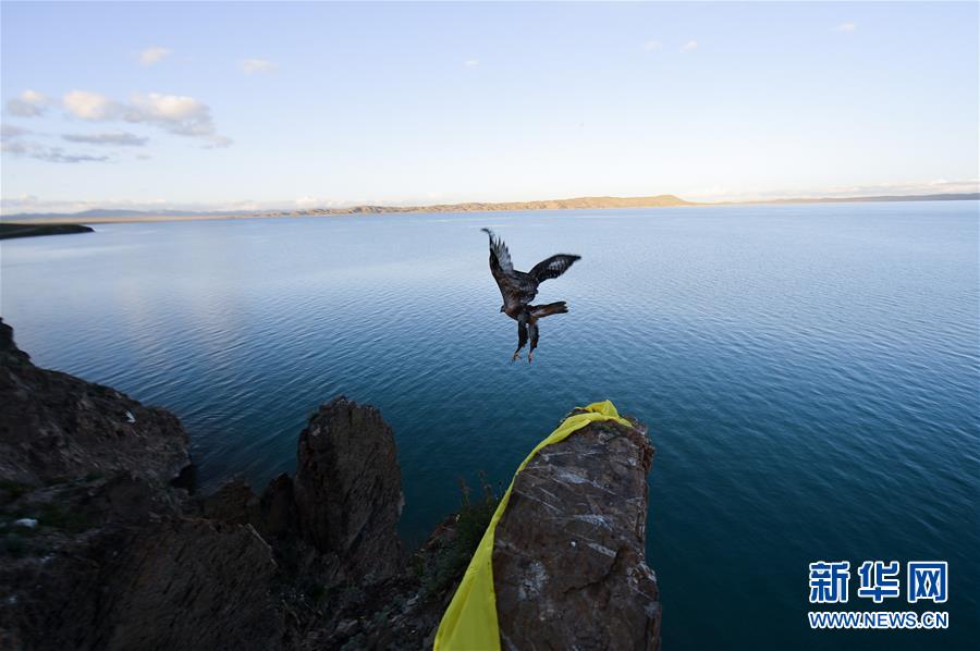 （今日關注·第一屆國家公園論壇·圖文互動）（2）首個國家公園什么樣？專家帶你先“睹”為快