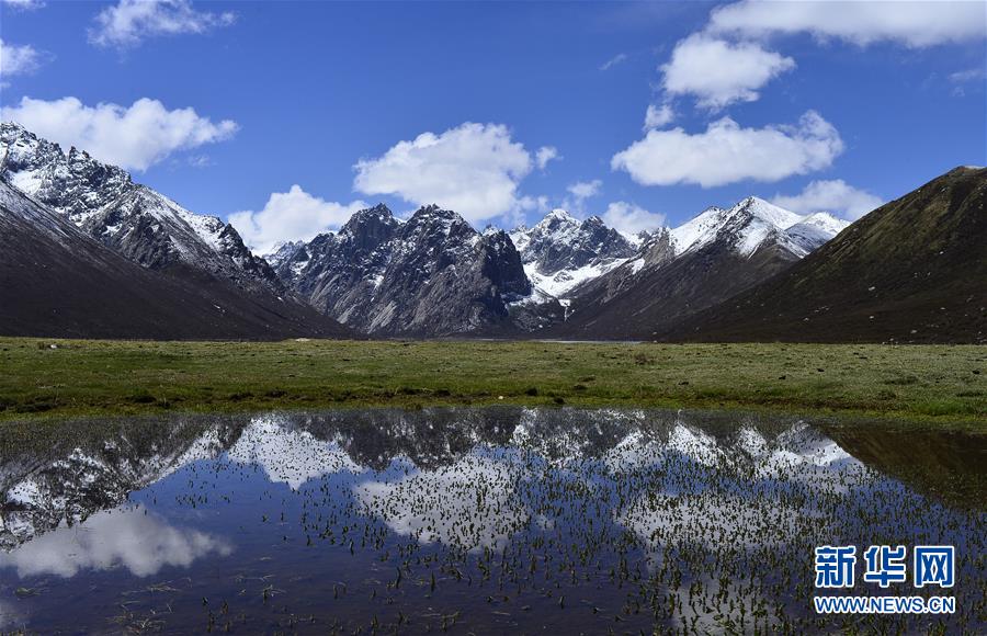 （今日關注·第一屆國家公園論壇·圖文互動）（6）首個國家公園什么樣？專家帶你先“睹”為快