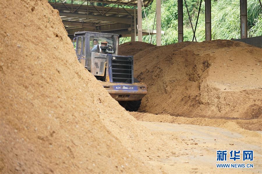 （在習(xí)近平新時代中國特色社會主義思想指引下——新時代新作為新篇章·總書記關(guān)心的百姓身邊事·圖文互動）（4）大污染變身“大寶藏”：治理畜禽糞污，他們這樣干！