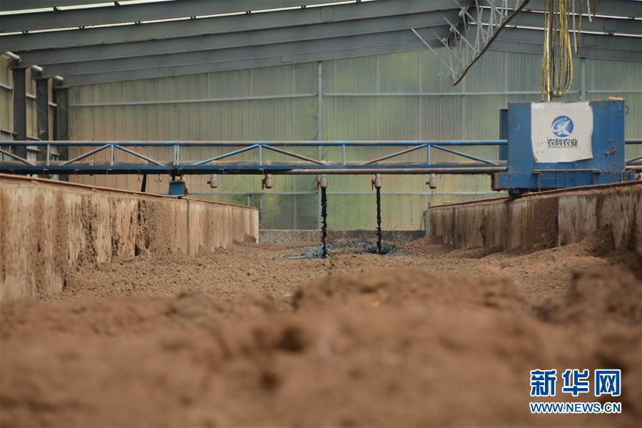 （在習(xí)近平新時代中國特色社會主義思想指引下——新時代新作為新篇章·總書記關(guān)心的百姓身邊事·圖文互動）（5）大污染變身“大寶藏”：治理畜禽糞污，他們這樣干！