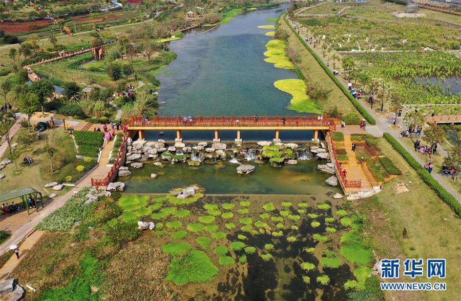 (壯麗70年 奮斗新時代——推動高質量發展調研行·圖文互動)(4)亮出一江清水優質“成績單”——廣西重點流域水環境綜合治理觀察