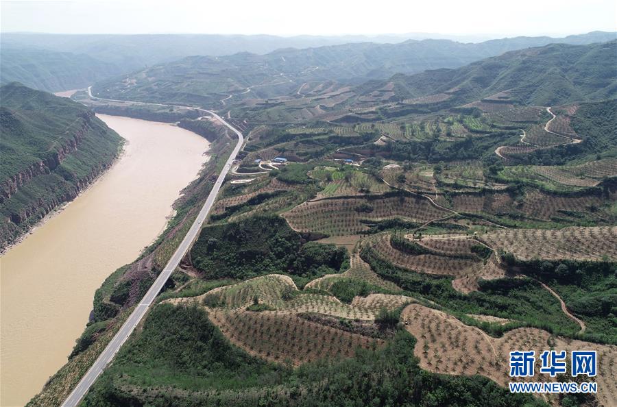 (圖文互動)(2)荒土換青山 林海淘真金——延安退耕還林20載造就綠色奇跡