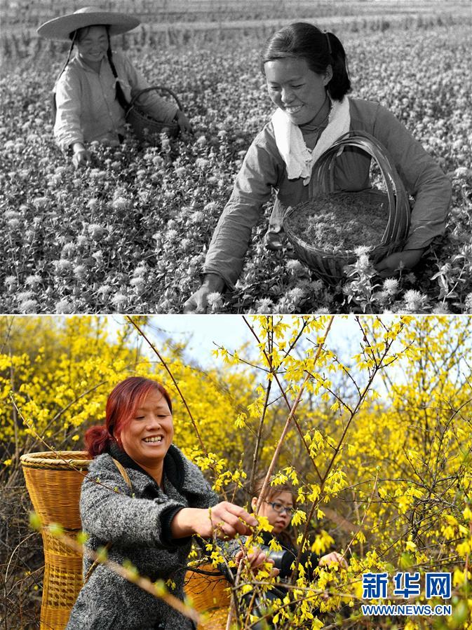 （壯麗70年·奮斗新時代）（3）70年時光流影 70行見證發展