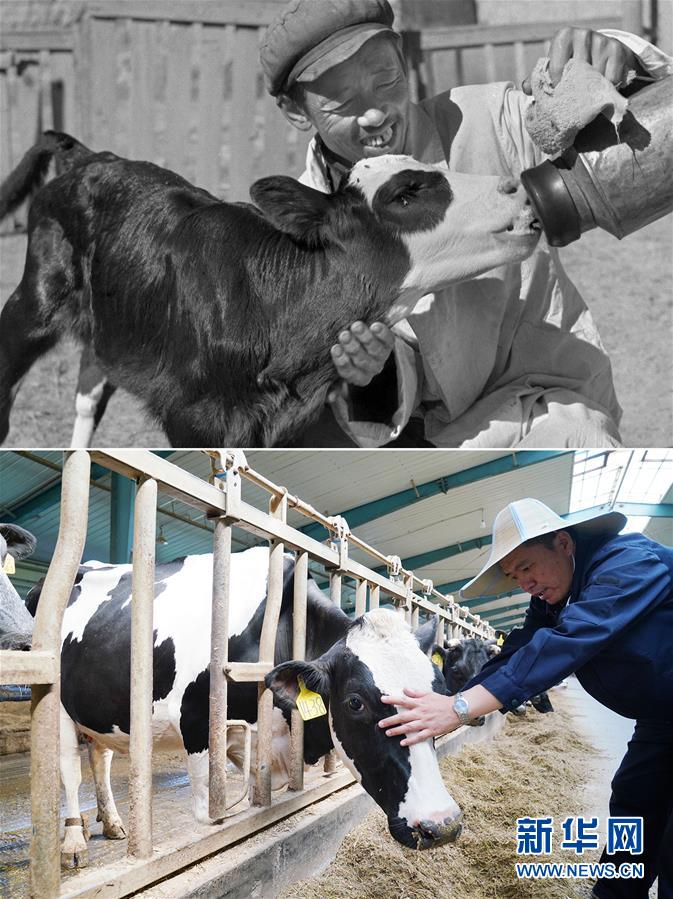 (壯麗70年·奮斗新時代)(8)70年時光流影 70行見證發展