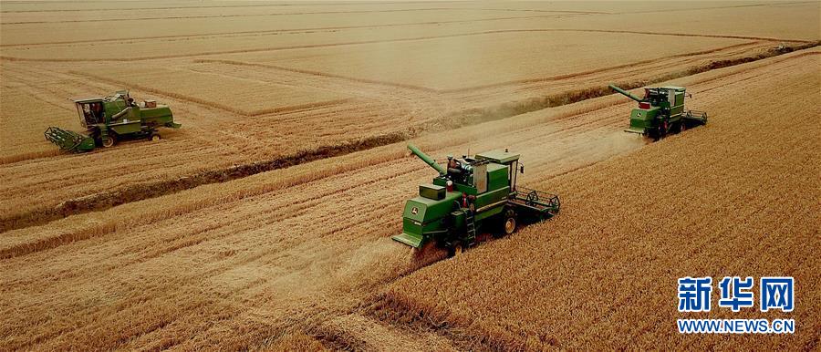 （新華全媒頭條·圖文互動）（1）大國糧倉的新時代交響——河南農業70年觀察