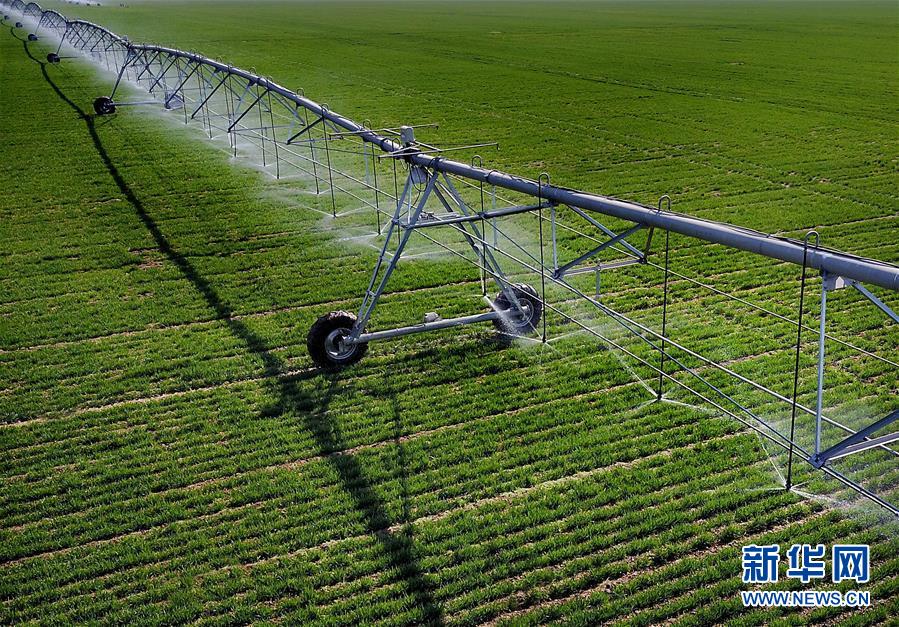 （新華全媒頭條·圖文互動）（4）大國糧倉的新時代交響——河南農業70年觀察