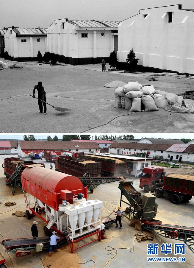 （新華全媒頭條·圖文互動）（9）大國糧倉的新時代交響——河南農業70年觀察