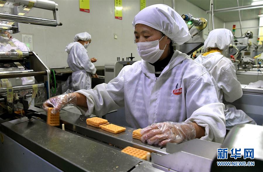 （新華全媒頭條·圖文互動）（13）大國糧倉的新時代交響——河南農業70年觀察