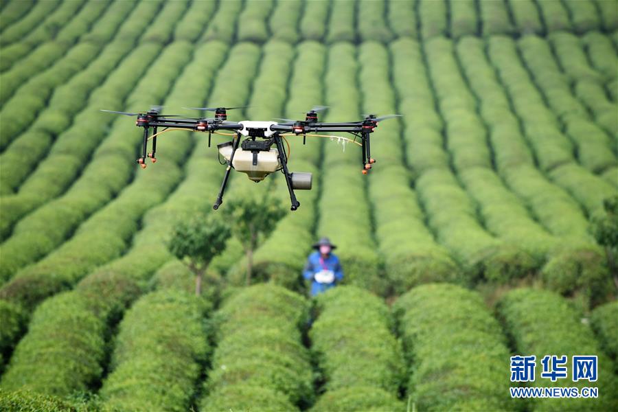 (全面深化改革·圖文互動)(6)“減”出效益 “融”出特色 “服”出動力——貴州推進農村產業結構調整觀察