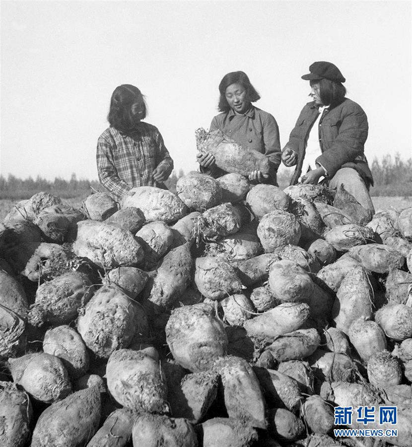 (圖文互動(dòng))(2)為了“中國號(hào)”巨輪揚(yáng)帆遠(yuǎn)航——中國共產(chǎn)黨領(lǐng)導(dǎo)下的人民軍隊(duì)忠于祖國、服務(wù)人民啟示錄