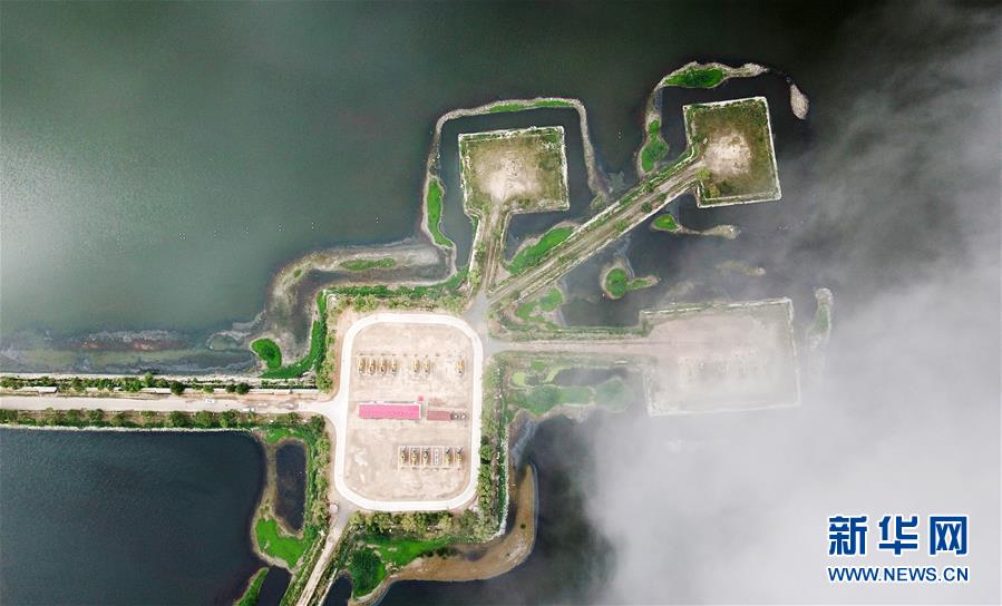 (圖文互動)(14)當好標桿旗幟 建設百年油田——寫在大慶油田發現60周年之際