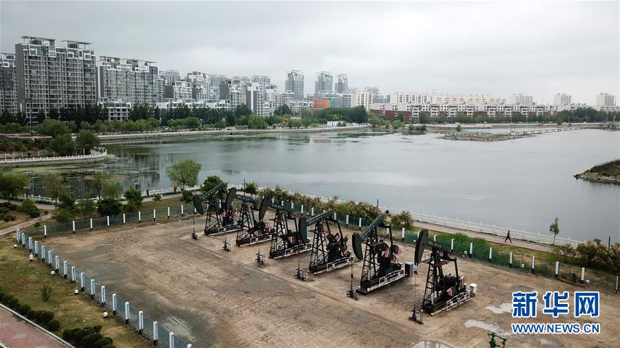 (圖文互動)(13)大慶油田“60周歲”了!