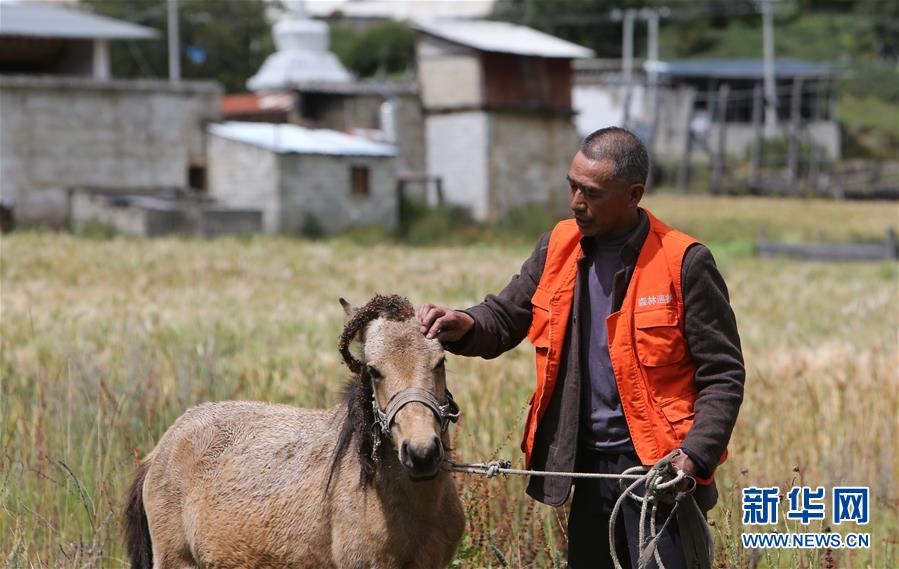 (新華全媒頭條·決戰決勝脫貧攻堅·圖文互動)(4)為了人與自然和諧共生——云南“三江并流”地區決戰精準脫貧的“生態畫卷”