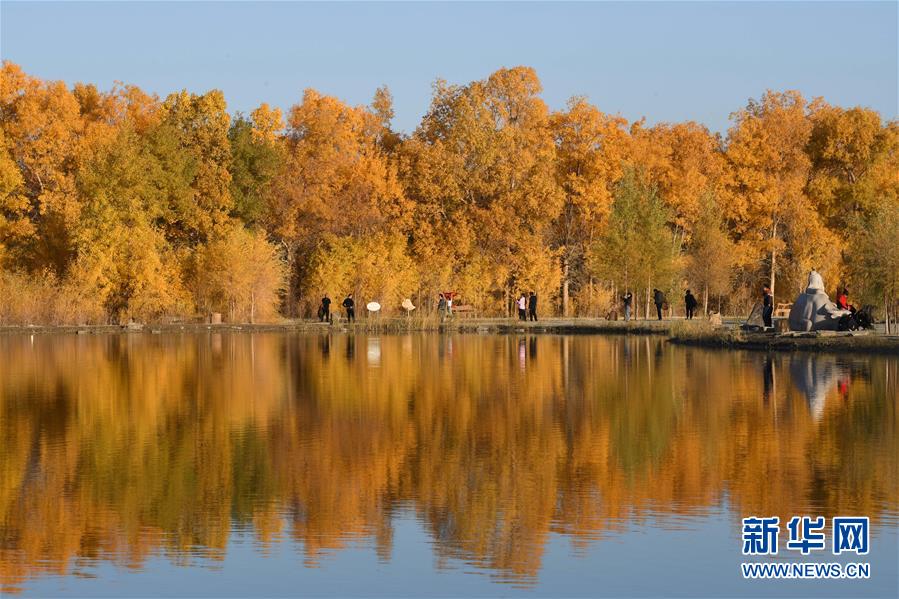 （美麗中國(guó)）（1）甘肅金塔：金秋胡楊美如畫(huà)