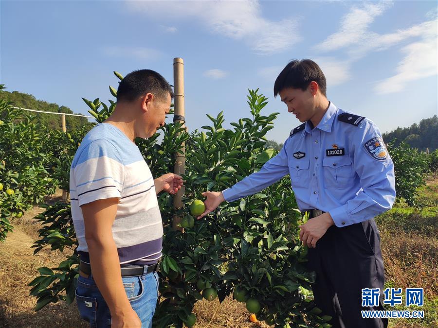 (圖文互動(dòng))(1)163份留任申請(qǐng)——記江西吉安163位主動(dòng)留任的第一書記