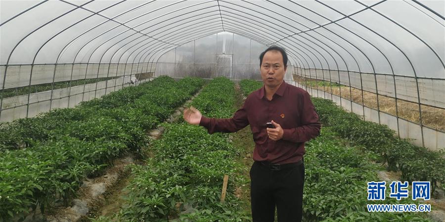 (圖文互動(dòng))(2)163份留任申請(qǐng)——記江西吉安163位主動(dòng)留任的第一書記