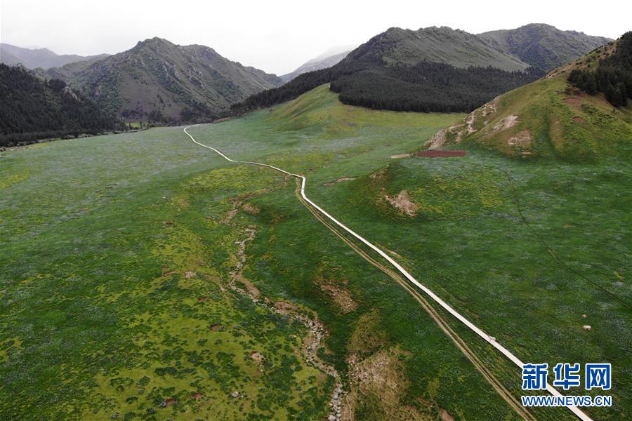 (新華全媒頭條·圖文互動(dòng))(10)綠色的啟示——西部地區(qū)生態(tài)問(wèn)題典型個(gè)案再調(diào)查