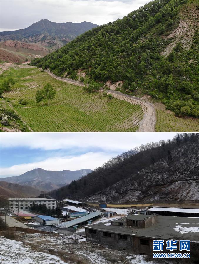 (新華全媒頭條·圖文互動(dòng))(8)綠色的啟示——西部地區(qū)生態(tài)問(wèn)題典型個(gè)案再調(diào)查