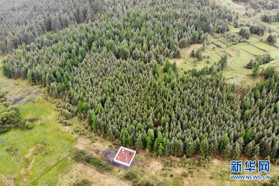 (新華全媒頭條·圖文互動(dòng))(11)綠色的啟示——西部地區(qū)生態(tài)問(wèn)題典型個(gè)案再調(diào)查