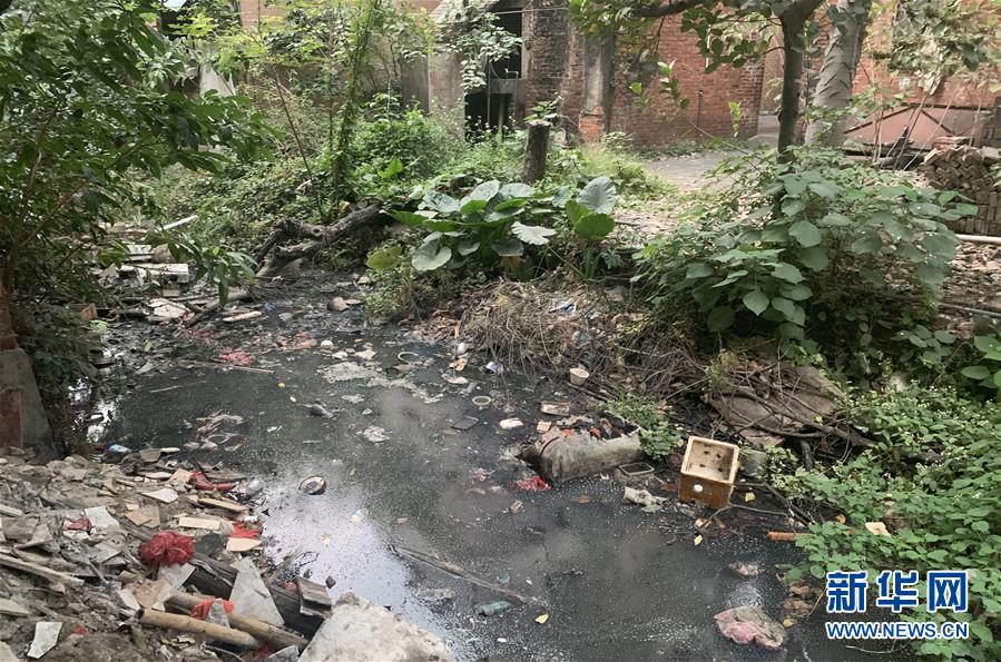 (圖文互動)(1)河長職責寫得明明白白,條條舉措無一落實——國務院檢查組暗訪核查佛山一農村河涌黑臭十余年無人管理