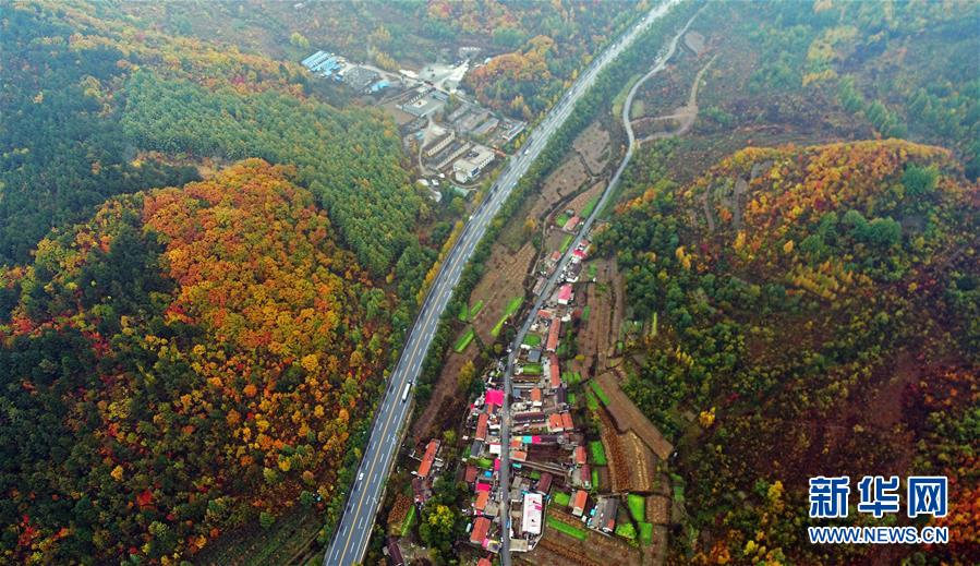 （新華全媒頭條·四中全會精神在基層·圖文互動）（6）沖破衰退循環 引領生態崛起——東北老工業基地城市本溪綠色轉型煥發朝氣