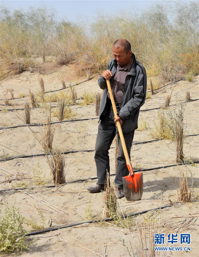 (新華全媒頭條·圖文互動)(4)大漠小城的絕地反擊