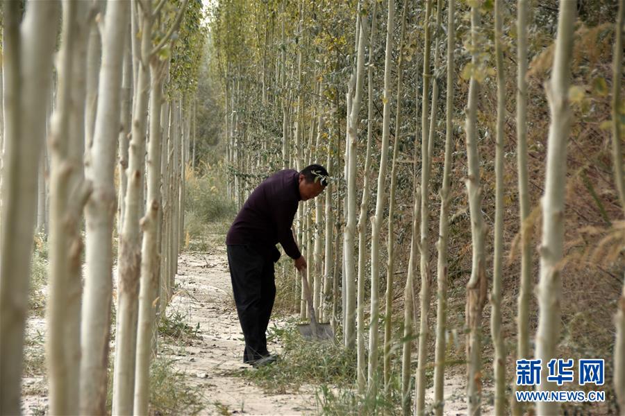 (新華全媒頭條·圖文互動)(7)大漠小城的絕地反擊