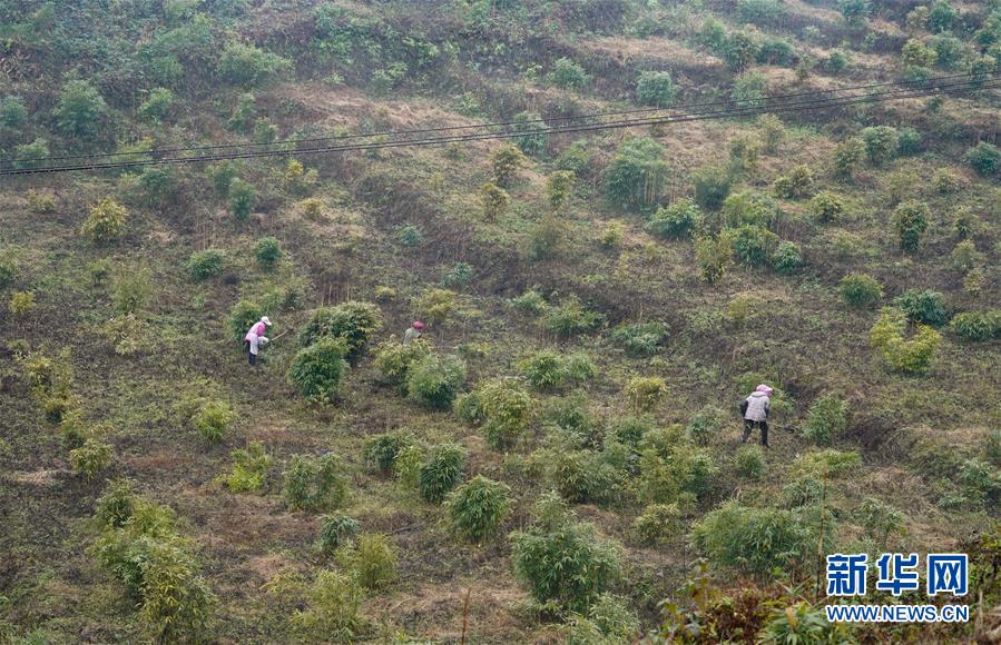 (新華全媒頭條·圖文互動)(12)烏蒙歡歌高鐵來——寫在成貴高鐵通車之際