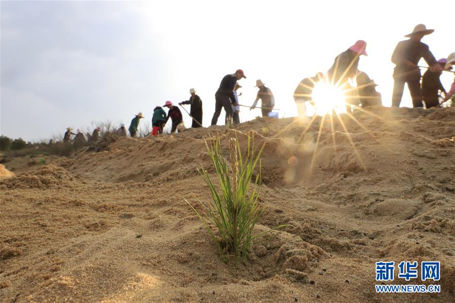 (在習近平新時代中國特色社會主義思想指引下——新時代新作為新篇章·總書記關切高質量發展·圖文互動)(4)在藍天白云下——污染防治攻堅戰持續推進