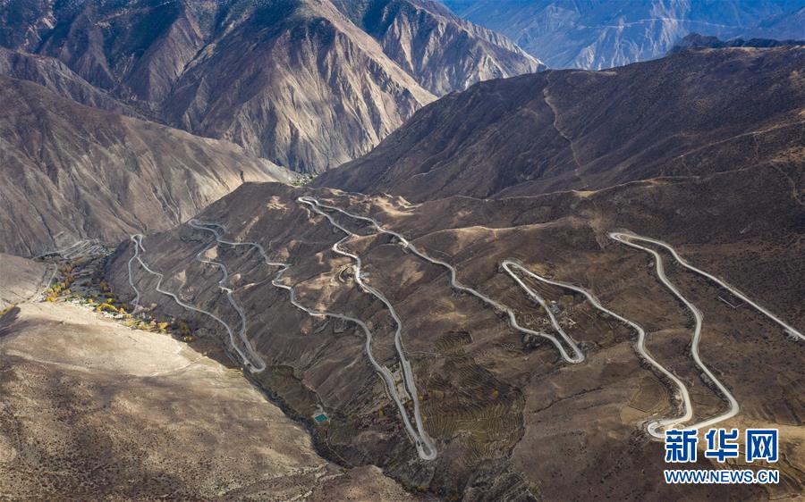 (新華全媒頭條·圖文互動)(1)格桑花開滿天路——寫在川藏公路通車65周年之際