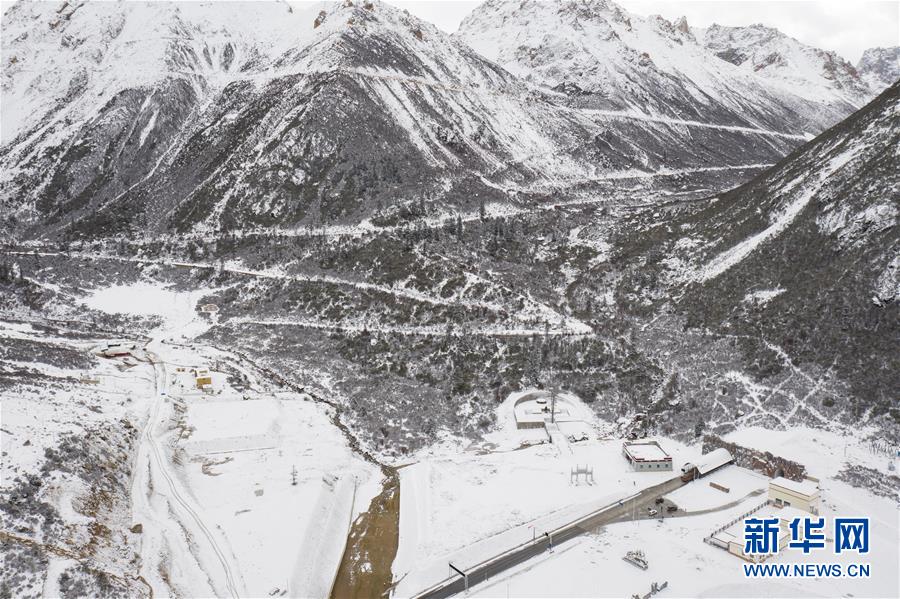 (新華全媒頭條·圖文互動)(2)格桑花開滿天路——寫在川藏公路通車65周年之際