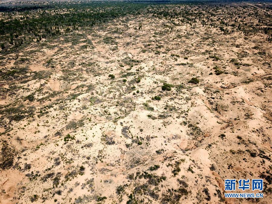 (圖文互動(dòng))(2)陜西榆林毀林建光伏電站追蹤:還有哪些疑團(tuán)有待破解?