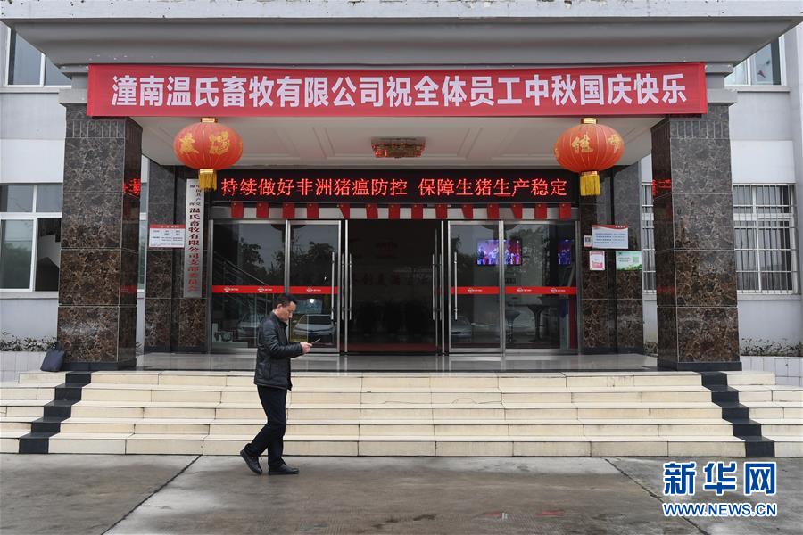 (在習近平新時代中國特色社會主義思想指引下——新時代新作為新篇章·總書記關切高質量發展·圖文互動)(1)穩住“一頭豬”、供好“一袋米”、配好“一籃菜