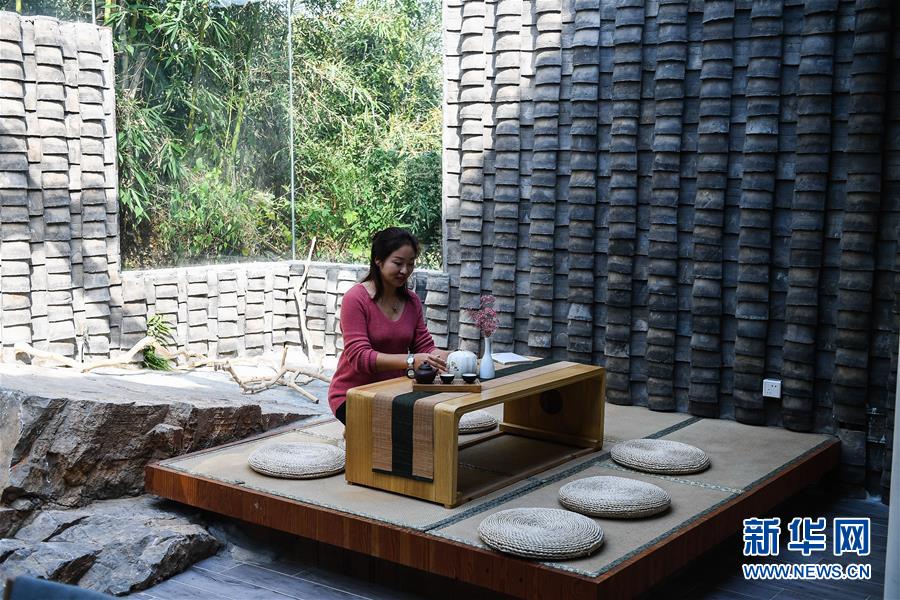 (新華全媒頭條·圖文互動)(15)大湖見證——長三角三大淡水湖綠色發展之路