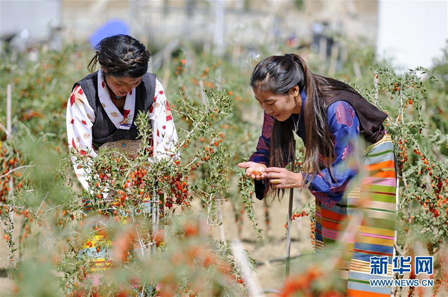 (新華全媒頭條·兩會特別報道·圖文互動)(7)在推進(jìn)高質(zhì)量發(fā)展中創(chuàng)造廣闊空間——從全國兩會看奮進(jìn)中國的發(fā)展機(jī)遇